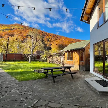 Shepit Pruta ياريمتشي